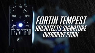 Fortin Tempest エフェクター オーバードライブ 嵐 – Fortin Amps