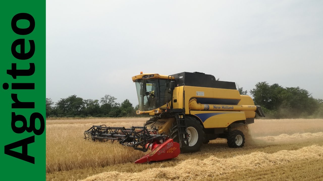 Orzo 2022 | New holland csx 7040 | Az.agr Bonetti