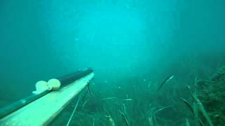 Sm 3. Test Cerino Da Sinistra