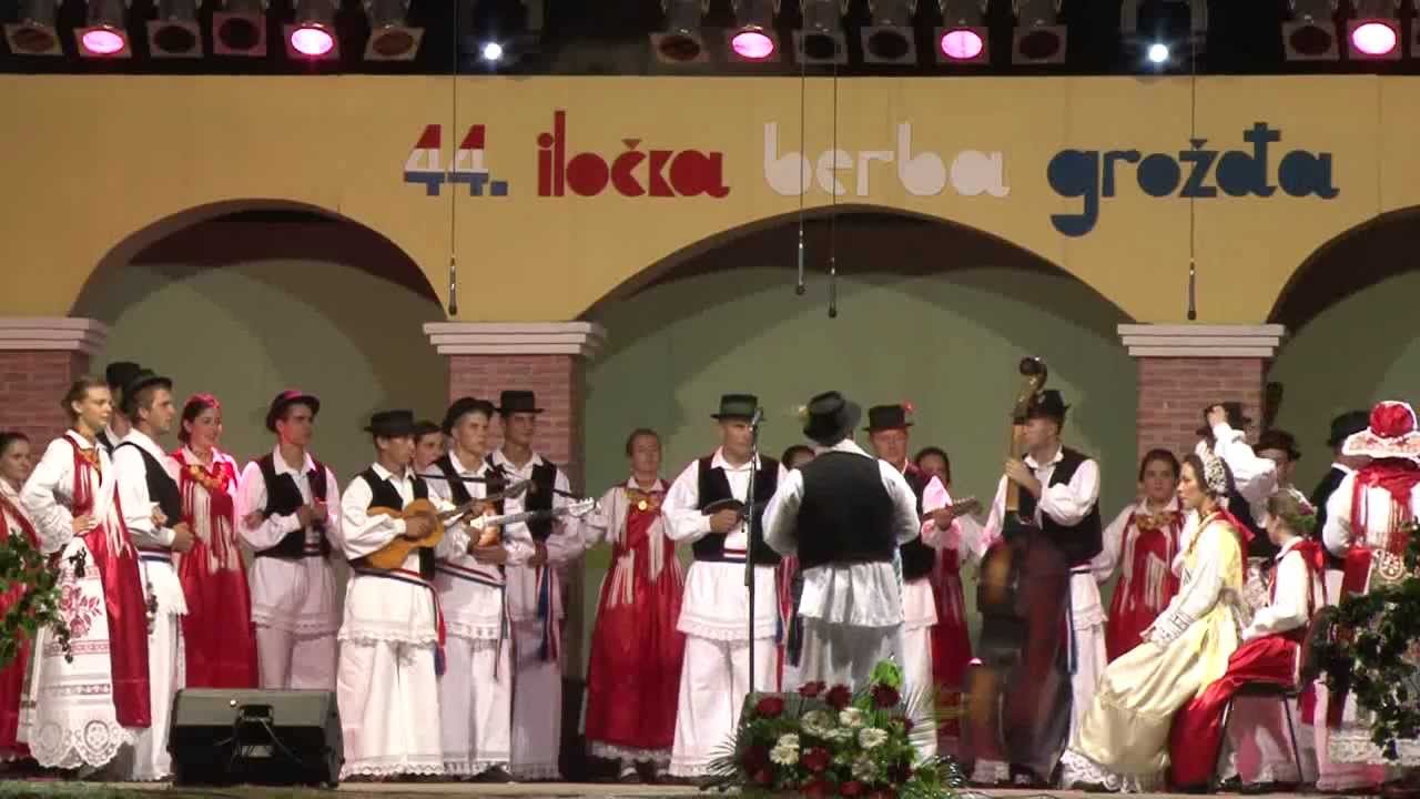 Miroslav Janjic + Sloga iz Bapske 03.09.2011 Berba grozdja u ILOKU.wmv