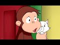 George O Curioso 🐵Febre para Macaco 🐵Episódio Completo 🐵O Macaco🐵Desenhos Animados
