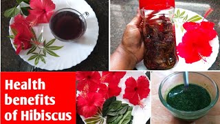 செம்பருத்தி டீயின் மருத்துவ குணங்கள்//Benefits of Hibiscus Tea//Treats women's Problem