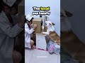 This Dog Pretends to Be Sick Every Day for the Most Wholesome Reason! 😭❤️