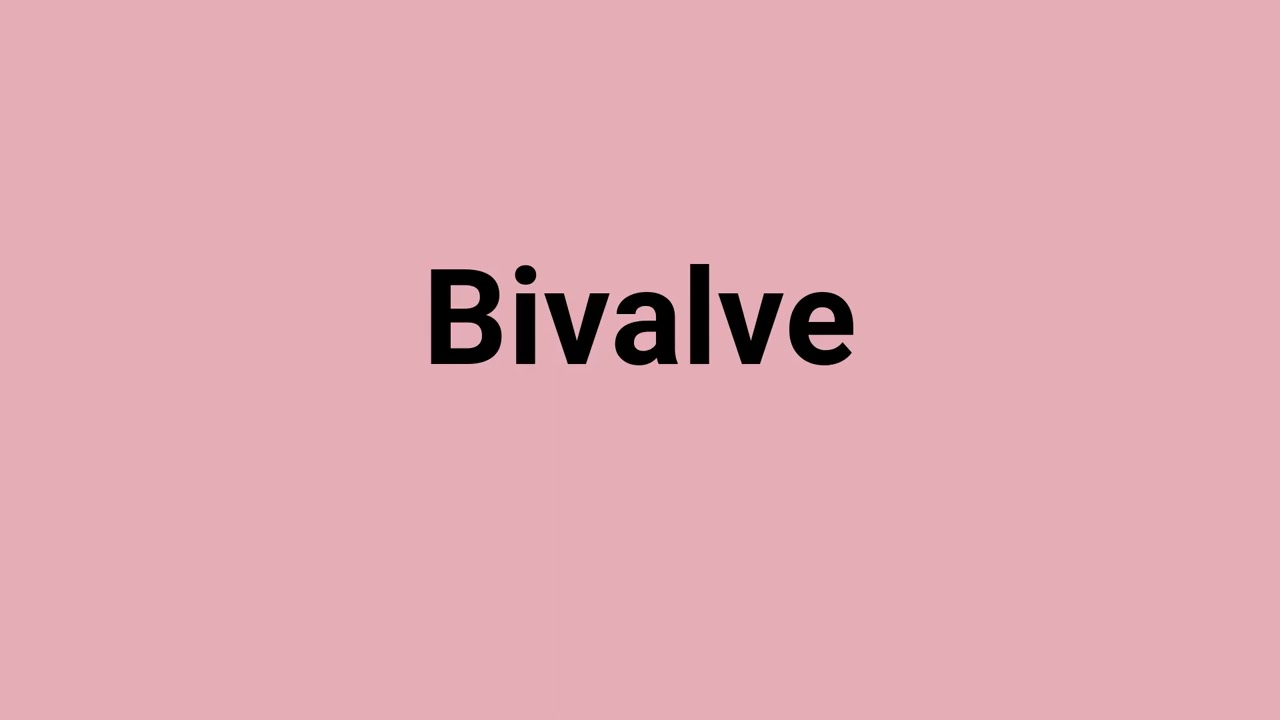'Bivalve' Meaning and Pronunciation