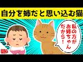 娘を妹、自分を姉だと思って世話を焼く猫が可愛すぎるwww