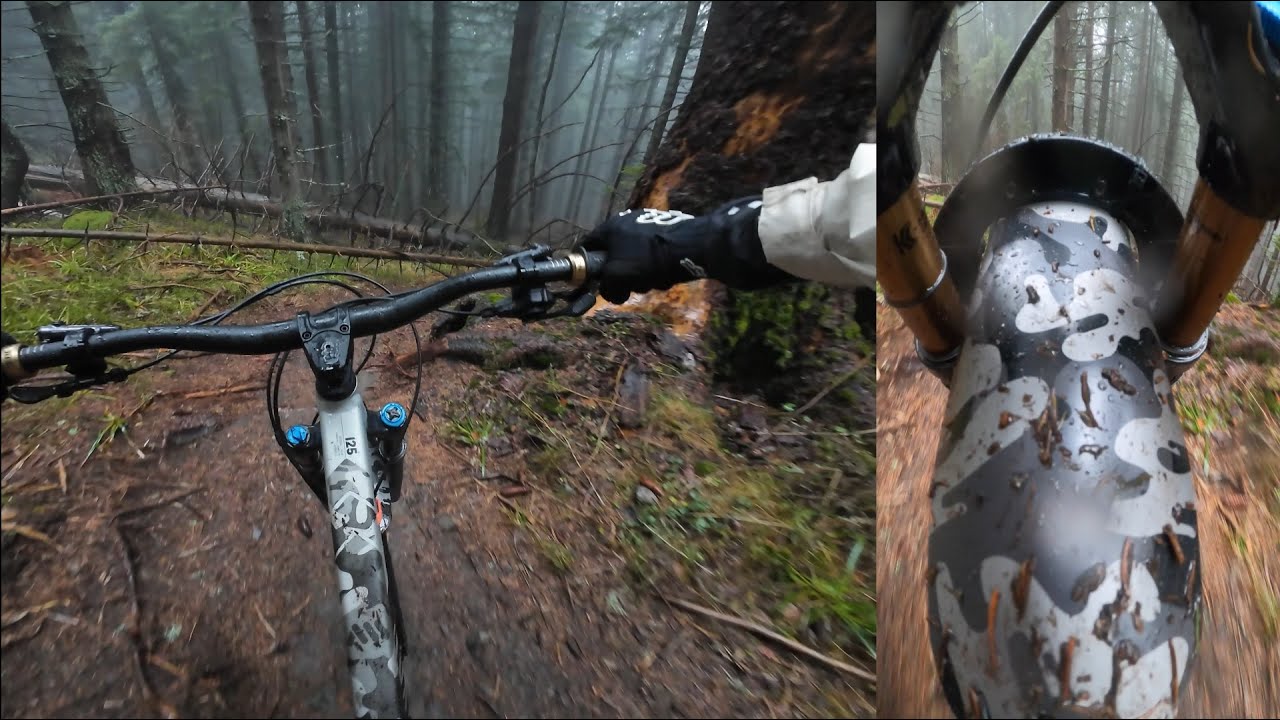 Kолумбиеца, м'глата и водата... - 29.11.2025