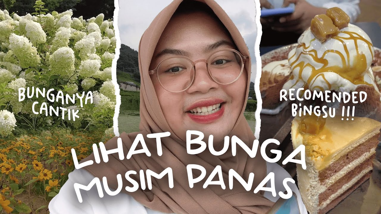 CAFE BUNGA DI KOREA SELATAN! - YouTube