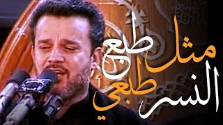 مثل طبع النسر طبعي⭐ستوريات باسم الكربلائي🧡حالات انستا✨ باسم الكربلائي