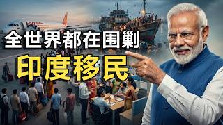 10萬張假文憑案擊穿歐美簽證系統|西方國家瘋狂驅趕印度移民,為何印度人的人才神話失靈了?#五仁 #地緣政治 #莫迪