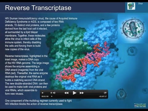 HIV-1 Reverse Transcriptase Structure and Function: Drugs by Design ...