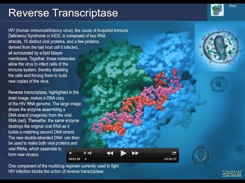 Video: Care este funcția revers transcriptazei HIV 1?