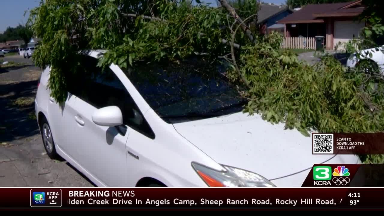 Full report | Strong winds down trees in Carmichael