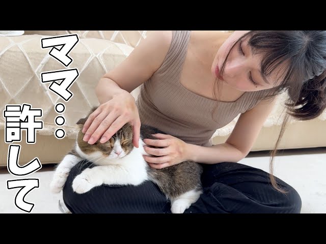 ぽこ太郎 sddefault.jpg