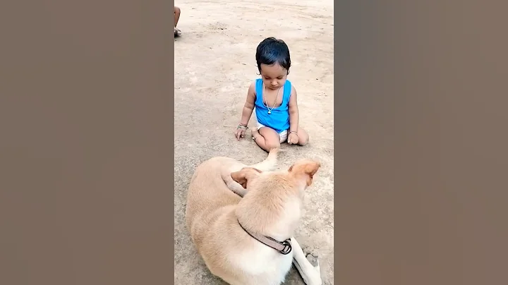 cute baby playing with dog 🐕😍😍 #love #cute #shortsfeed #trending #baby #dog