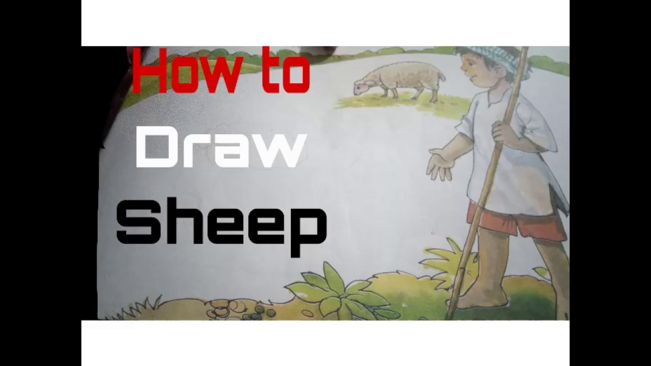 how to draw a sheep - YouTube