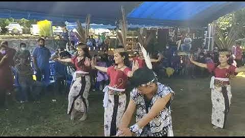 Tarian Daerah Kalimantan Tengah Kab. Murung Raya Penyambutan Penganten Adat Dayak. #seni #kalimantan