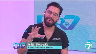 DOCTOR 7 SALUD MARTES 28JULIO DEL 2026 | CONTROL DE PLAGAS EN QUITO