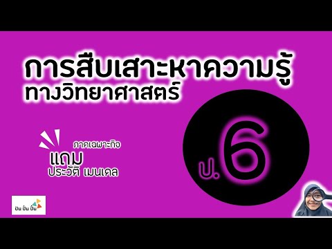 การสืบเสาะหาความรู้ทางวิทยาศาสตร์(วิทย์ป.6หน่วย1)