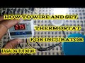 HOW TO WIRE AND SET THERMOSTAT FOR INCUBATOR|TAGALOG TUTORIAL