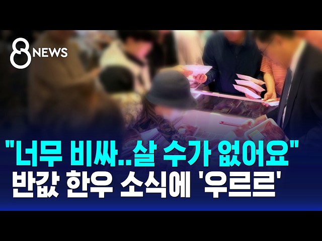 "안 오른 게 없어요"..반값 한우 소식에 '우르르' / SBS 8뉴스