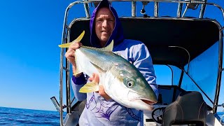 Sight Casting Big Kingfish in Shallow Water