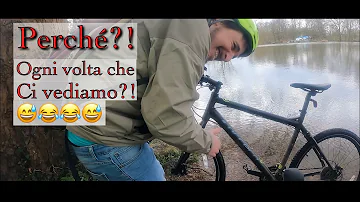 Come trovare i cervi a Richmond Park?