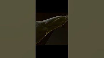 Speedrunning Level 0 Of Noclip VR...