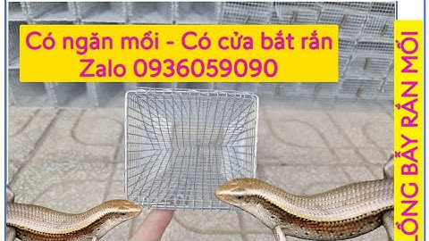 Bẫy rắn mối có ngăn nhốt mồi riêng. Bán lồng bẫy dông cát. Bán lồng bẫy rắn mối.