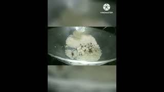 Rice Kheer-चावल का खीरreels food foodvlog foodvideos streetfood recipe shorts