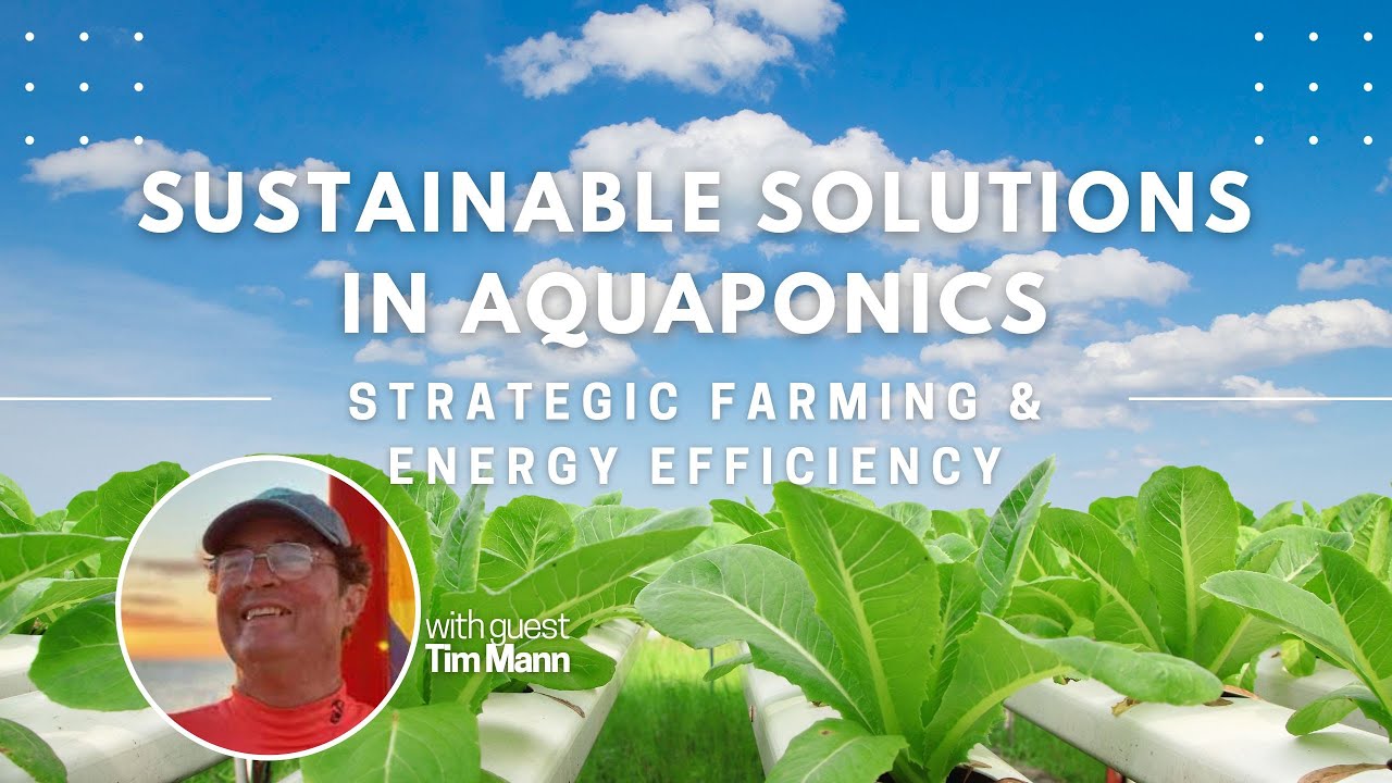 Building a $3000 Greenhouse for a Greener Future - YouTube