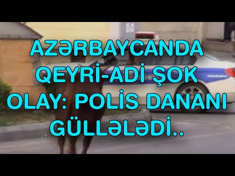 Video: Diz təkanları effektivdirmi?