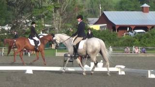 Emily Gilbert & Bouncer Gmha Horse Trials August 2016