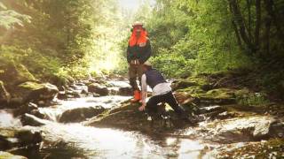 Download Lagu Parallel Lines - The Forest MP3