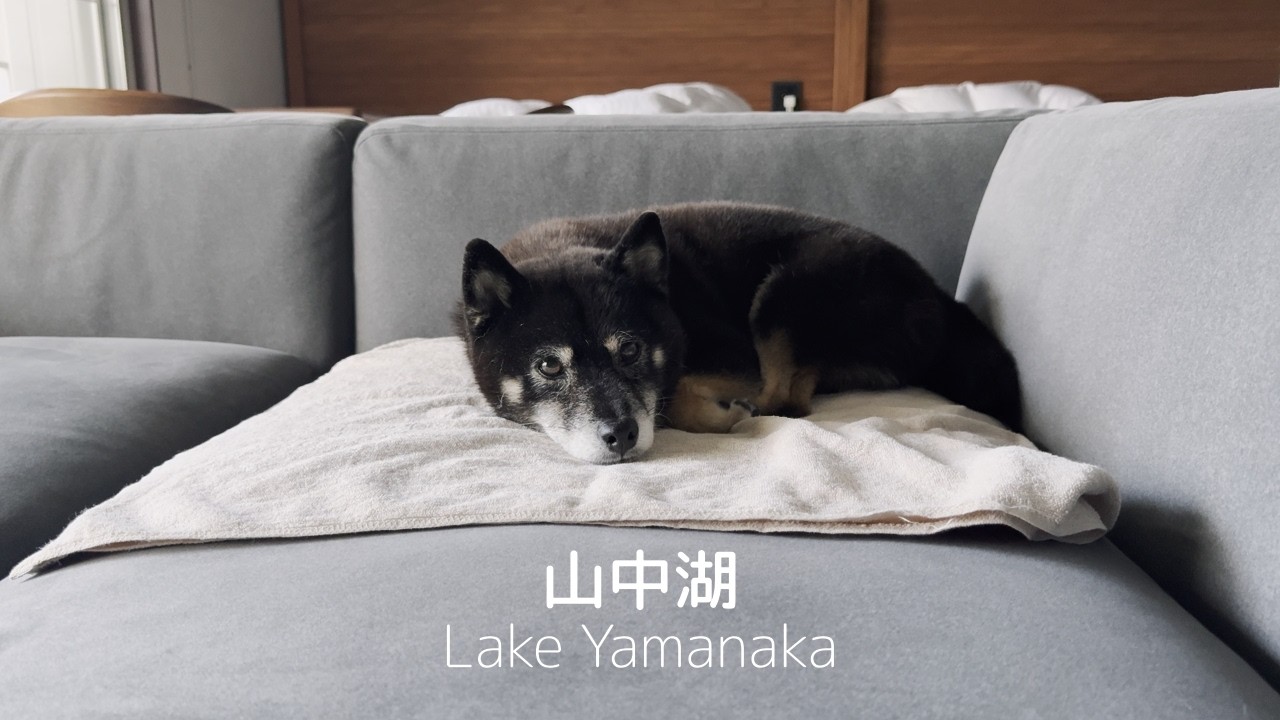 山中湖で夏満喫旅行🎐🍑レジーナリゾート山中湖/富士山/富士吉田