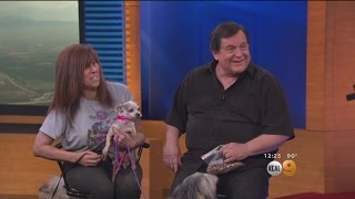 Celebrity 'Batman' Actor Burt Ward A Real-Life Hero To 4-Legged Friends Wealth