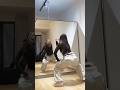 Hip Hop Dance Viral Video 💃💃 Dance Training #viralvideo #dance #hiphopdance #hiphop #hiphopvibe