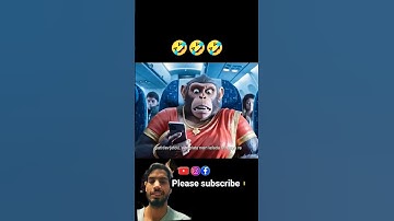 lMonkey vlog 😎😅🤣 ~ #aivlog #funny #monkeyvlog  #shorts #funny #monkey #shorts #bollywood #bandar   .