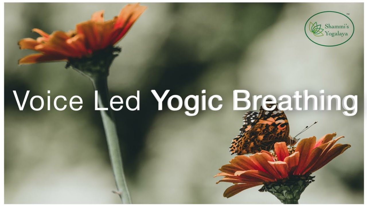 Unwind Anytime: Audio-Led Yogic Breathing for Deep Relaxation