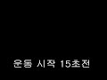 운동 숫자세기 카운터 2 5초간격 20회 운동 숫자세기 카운터 2 5초간격 20회