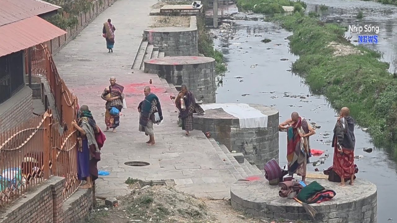 Huynh đệ sư Minh Tuệ trở về chốn cũ Nepal 7/3/26