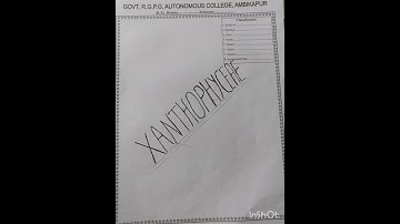 Xanthophyceae group##Algae Practical#Vaucheria##