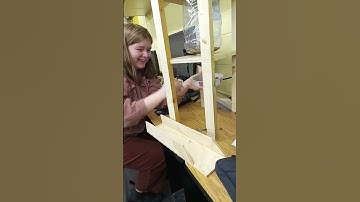 servo motor automatic pet feeder video 3