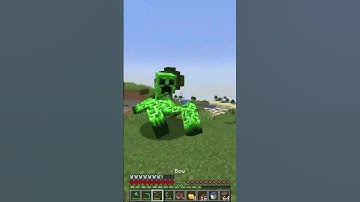 I Played Minecraft