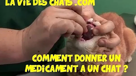 Quand donner Doxyval ?