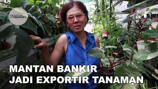 MANTAN BANKIR JADI EXPORTIR TANAMAN HIAS