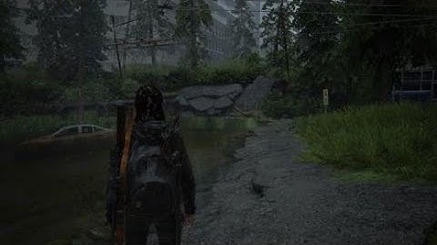 The Last of Us Part II - Walkthrough Gameplay part 22 - Scars