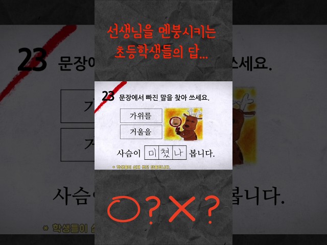초딩들의 레전드 오답 #유머 #각종유머 #웃긴짤 #웃긴영상 #코미디