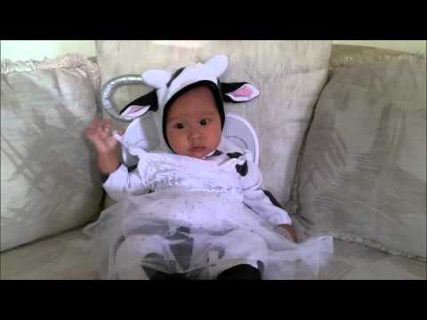 How to make a Holy Cow Costume / joke- Oct 2015