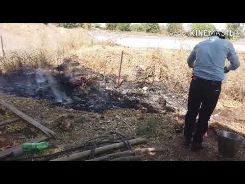 camera iphone 8 plus apk कोबरा को किया रीसकीव