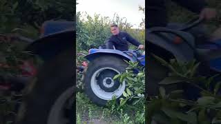 Sissan Makina Dal Parçalama Makinası